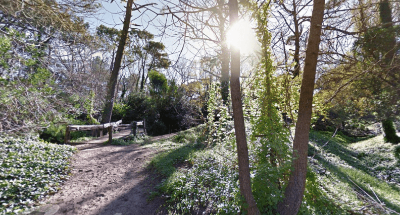 Reserva Pinar del Norte